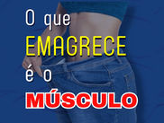 O que EMAGRECE é o músculo, estúpido!
