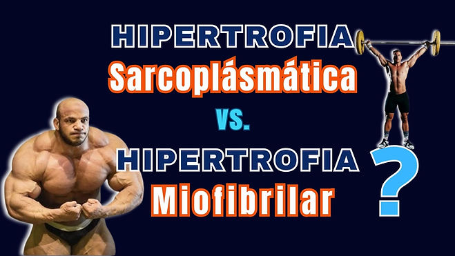 tipos de hipertrofia muscular sarcoplasmática miofibrilar