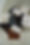 DSC03105.jpg