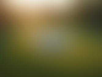 Detect Hidden Leaks with Expert Services