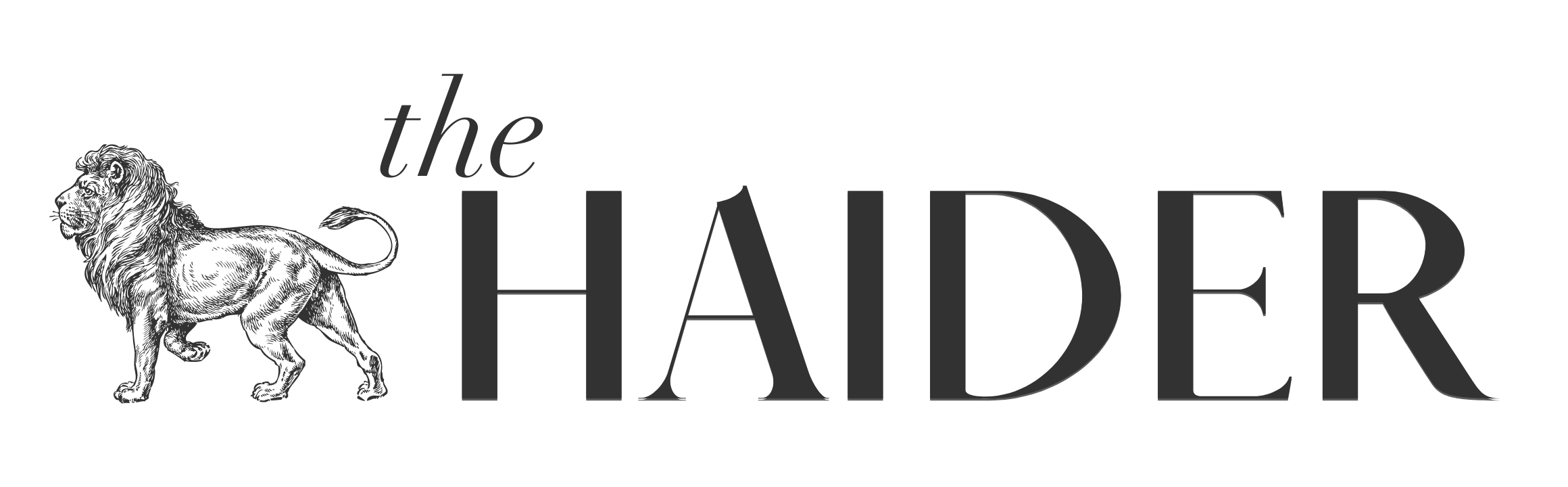the HAIDER Logo