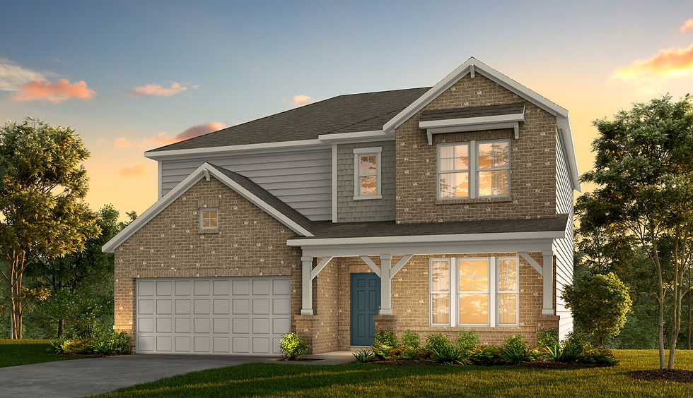 3D Elevation Rendering