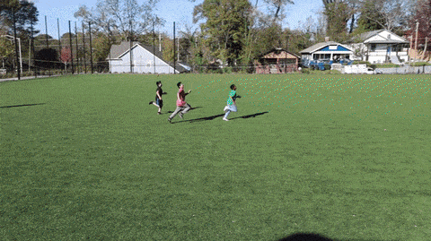 Gif1-min.gif