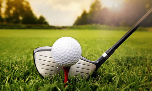 Vasa Park Golf Outing