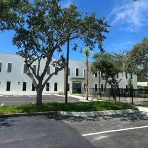 Modern white office building  behind trees and an empty parking lot under a bright blue sky.