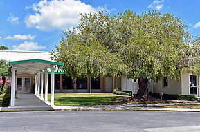 The exterior of a building with a large tree in front of it