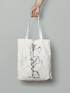 bolso ilustración IECIC