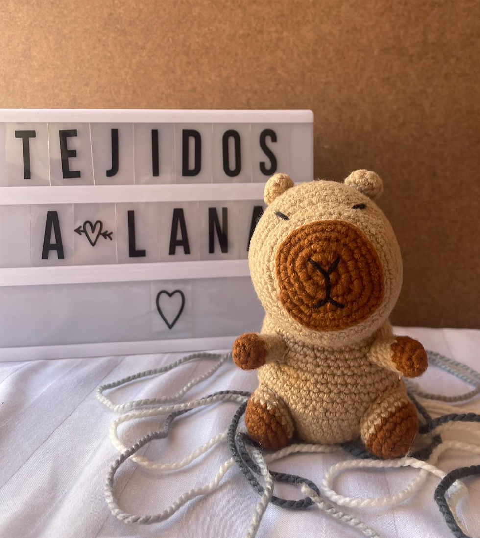 Miniatura: Amigurmis fauna colombiana