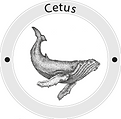 Logo _Cetus_design_Aliado