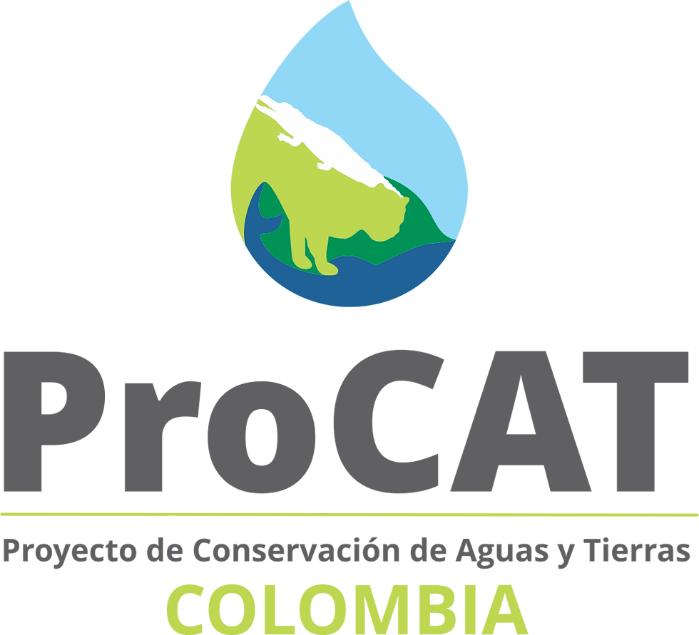 Procat