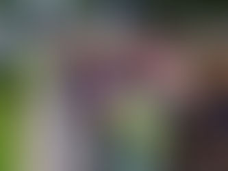 Circuito de Corridas CAIXA está de volta após mais de 6 anos