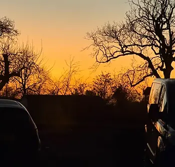 sunsetcars.webp