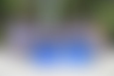 【結果更新】【品川区】2024年度 ぷよぷよ杯（4年生大会）　[決勝トーナメント]