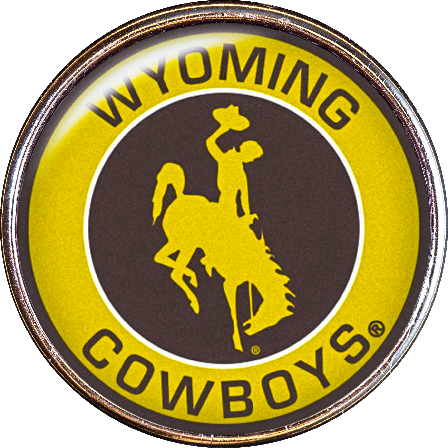 20mm Wyoming Cowboys NCAA Logo Snap Charm