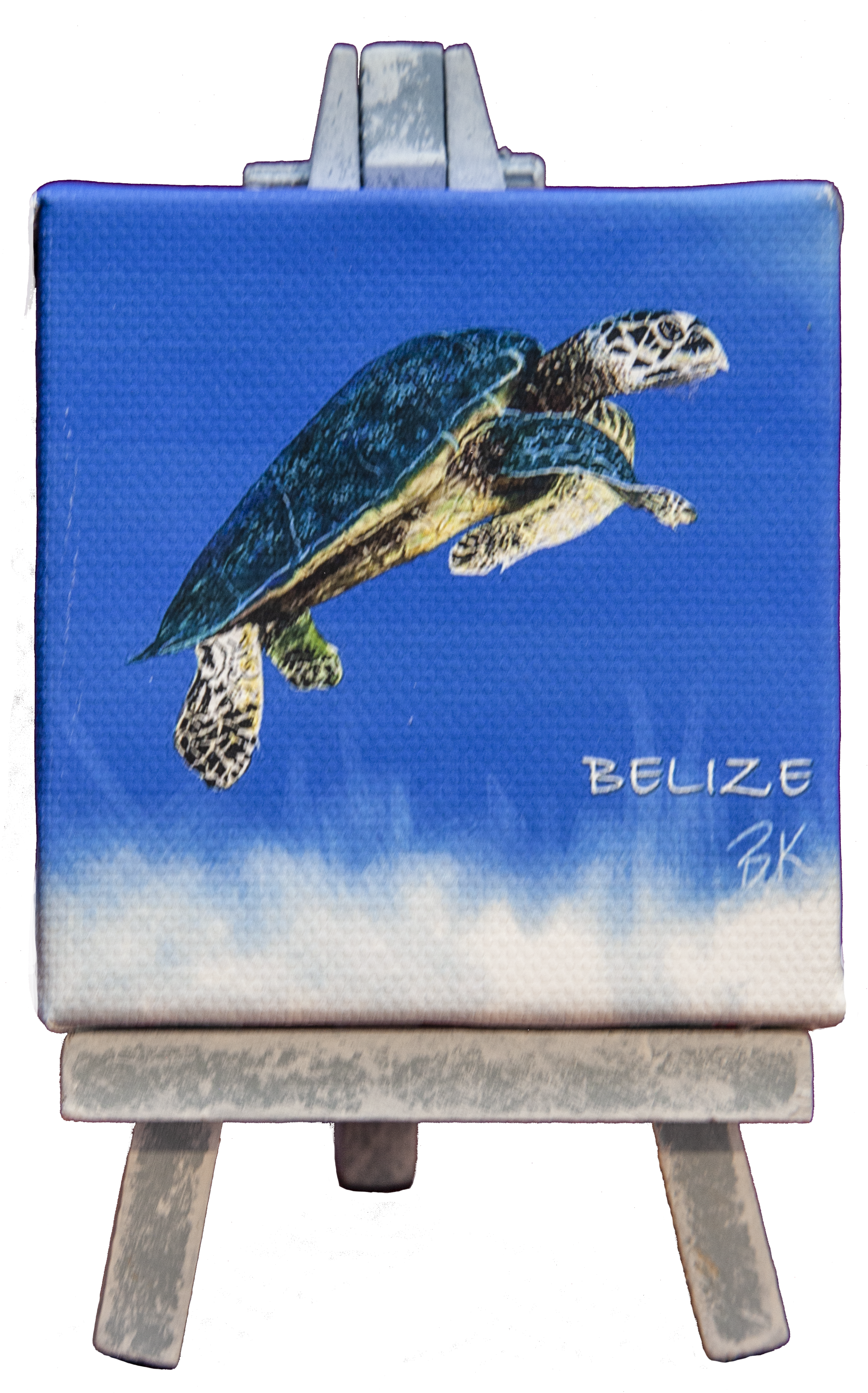 Turtle Canvas Painting with Easel