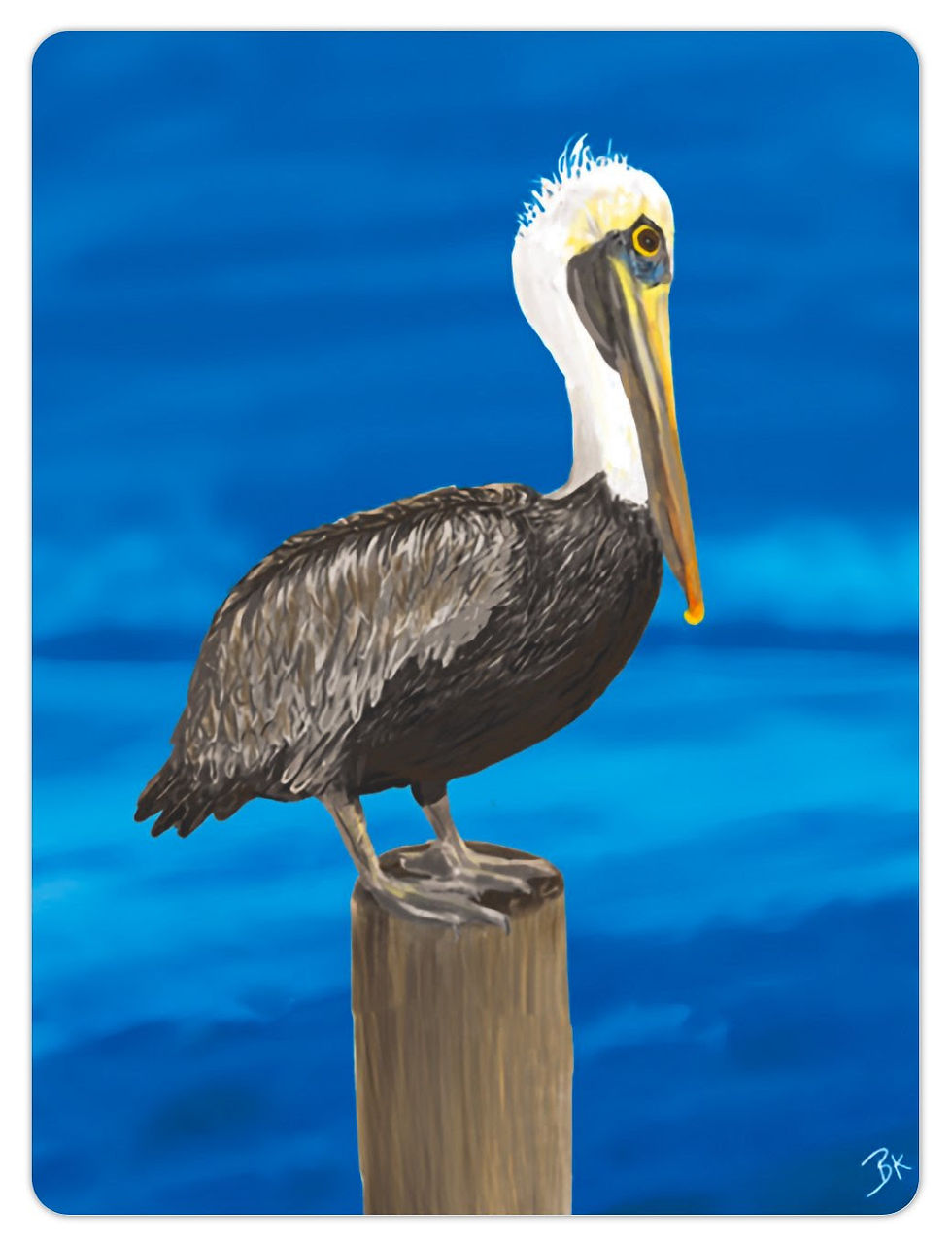 Pelican magnet