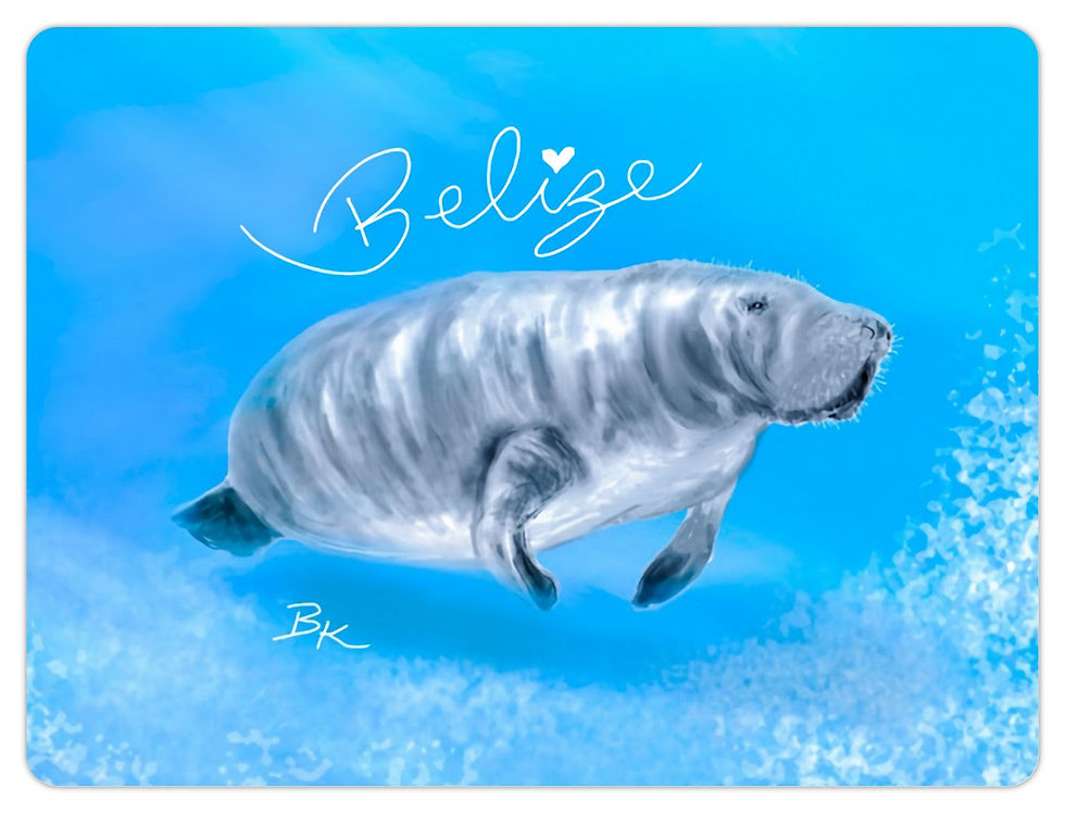 Manatee magnet