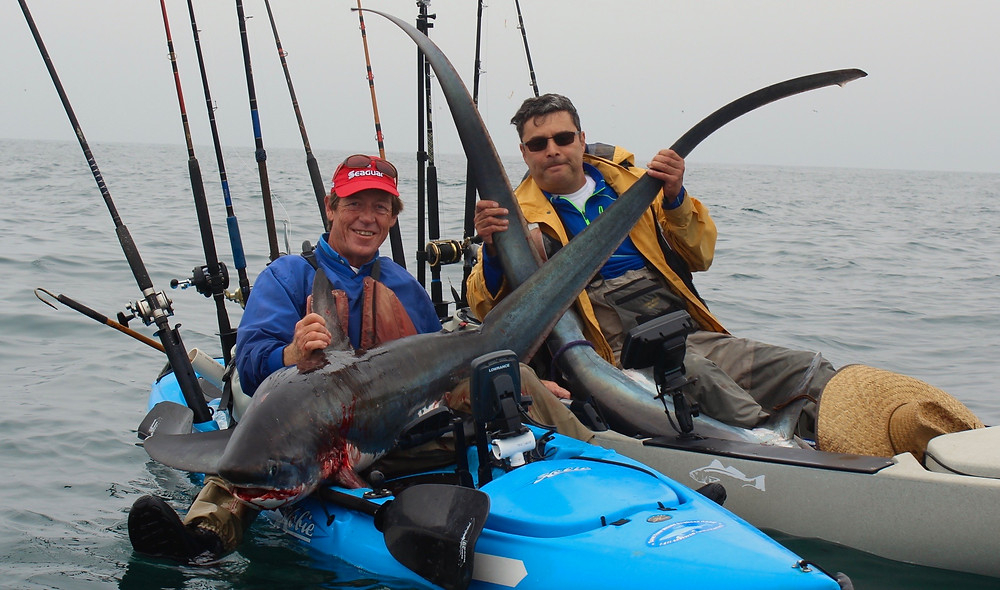 kayak thresher fishing