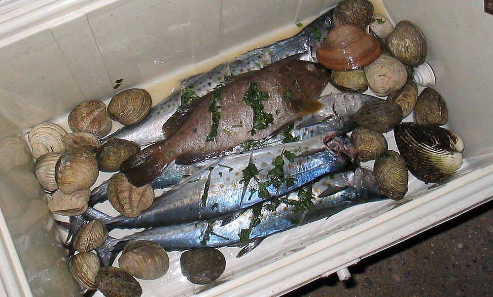 Baja Seafood