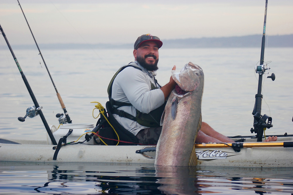 California Sea Bass