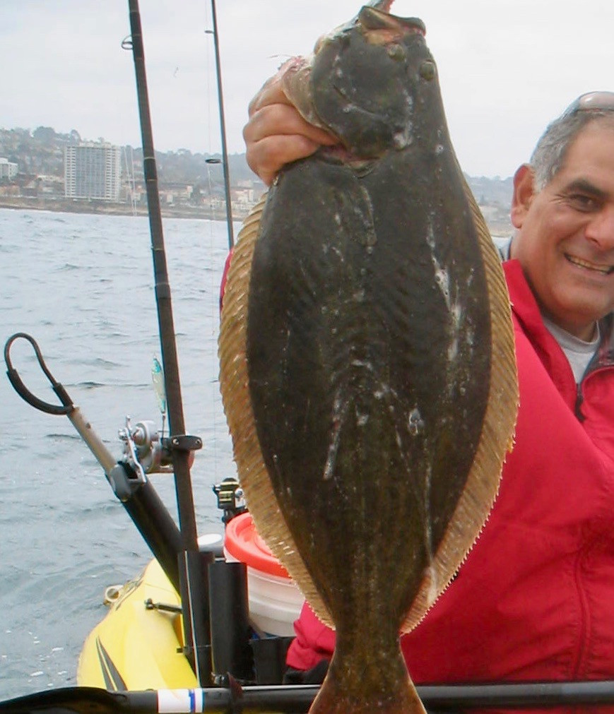 California Halibut