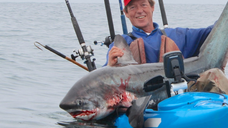 kayak thresher shark