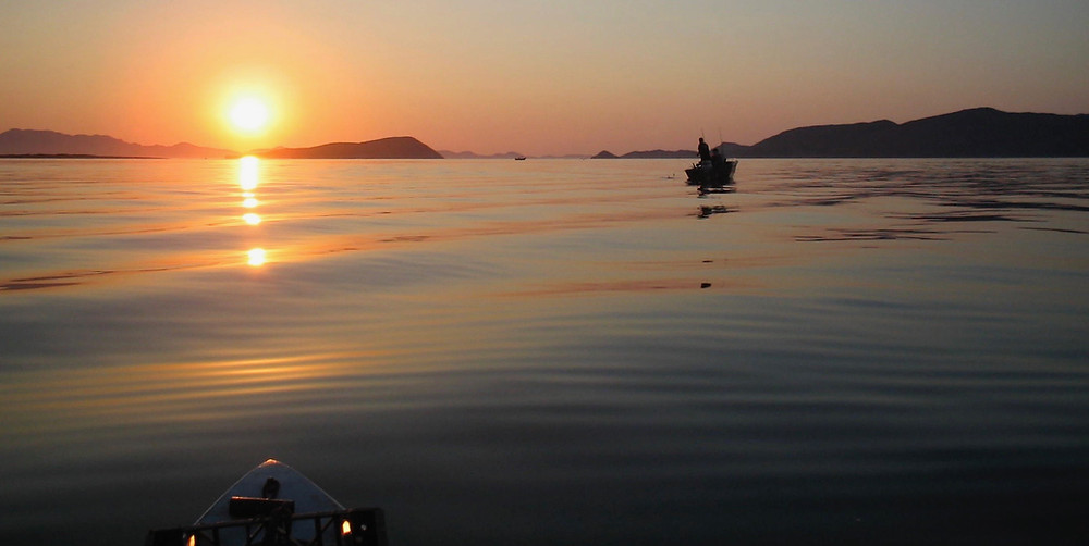Baja Fishing