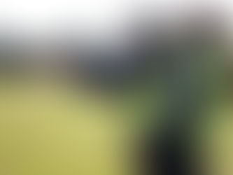 Kaltinamasis aktas policininkui – smūgis policijos bendruomenei ir visuomenei