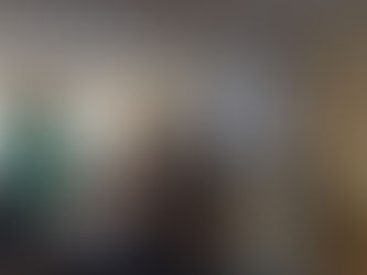 Roma Katinienė: „Tokio nerimo dėl sistemos dar nėra buvę“