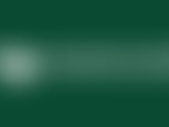 Lietuvos policijos profesinė sąjunga: palaikome kolegas, bet privalome pasitikėti teisine sistema