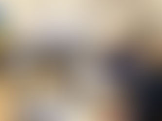 Vidaus reikalų ministerijoje – derybos dėl Vidaus tarnybos statuto