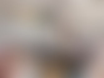 Roma Katinienė po susitikimo VRM: „Prašiau ministrės nepritarti pensijų įstatymo projektui“