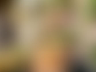 a person holding a handcrafted wooden Christmas tree