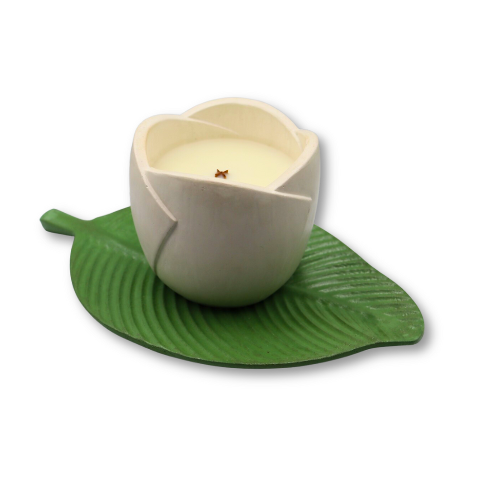 Brazilian Collection lualightcandle