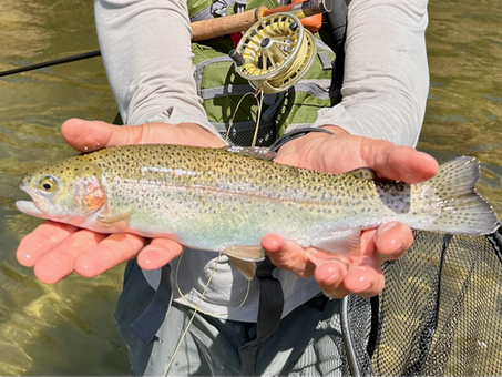 Kern River Fishing Report JUNE 19TH, 2025