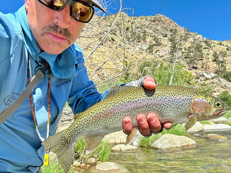 Kern River Fishing Report JULY 31, 2025