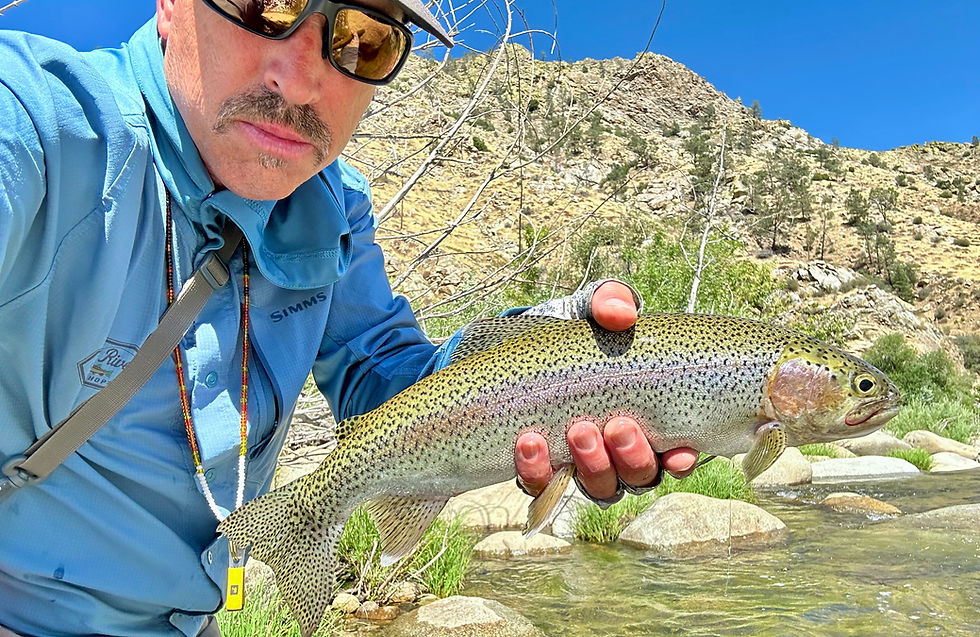Kern River Fishing Report JULY 31, 2025