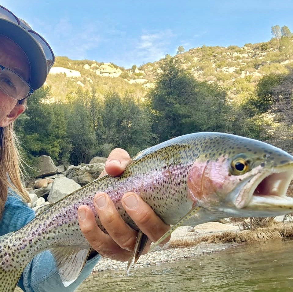 Kern River Fishing Report