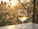 2019年份小馬酒莊白酒（大瓶）