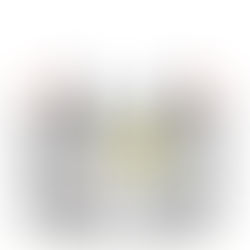 Four Affordable White Burgundies: A Practical Tasting Guide