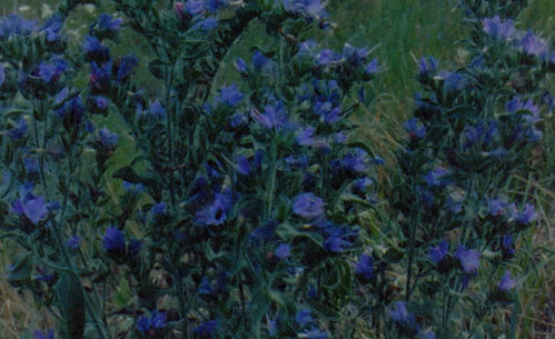 Zrzut ekranu 2024-05-4 o 21.21.59.jpg