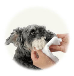 犬のよだれ焼け もふもふペット用クレンジングフェイシャルウォッシュ シャンプー プレミスティー Premisty 犬のよだれ焼け もふもふペット用クレンジングフェイシャルウォッシュ シャンプー プレミスティー Premisty