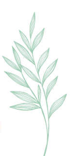 leaf2.png