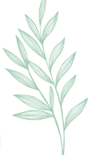leaf2.png