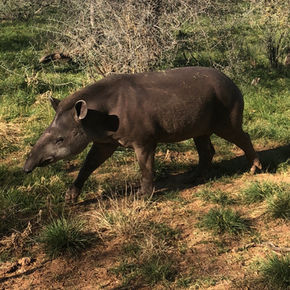 jackie poepping - 3E96DCCB-4E0D-4892-8F2C-F5A532B9B5EA.jpeg