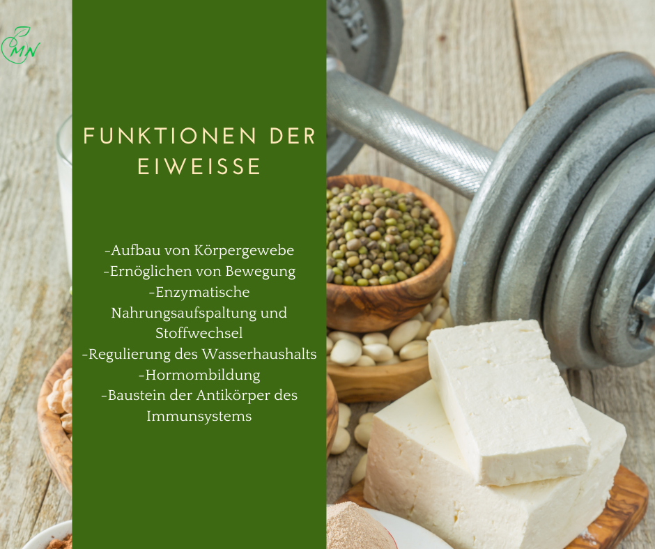 Funktionen der Eiweiße