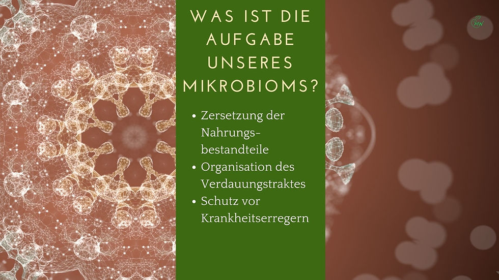 Auflistung: Funktionen des Mikrobioms