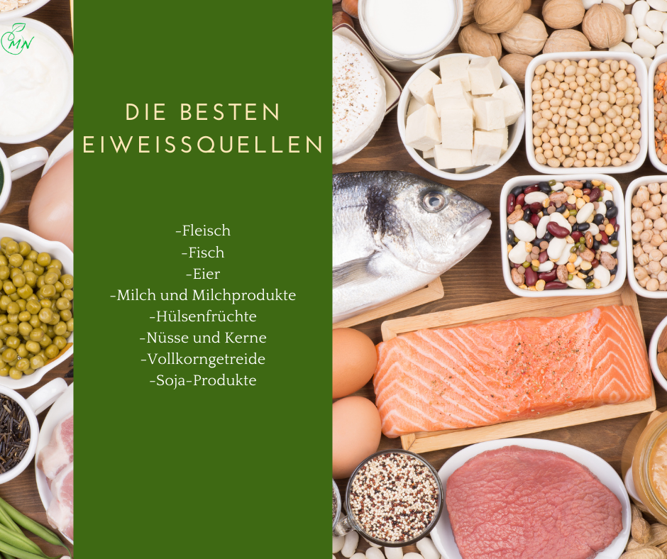 Eiweißquellen