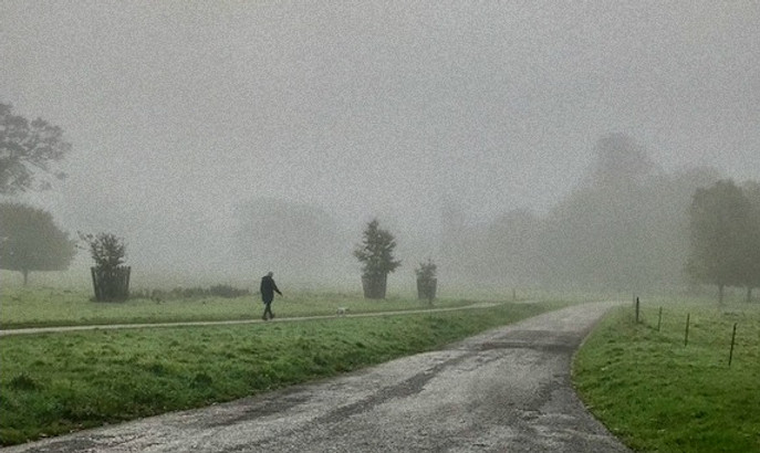 Man walking dog in London park