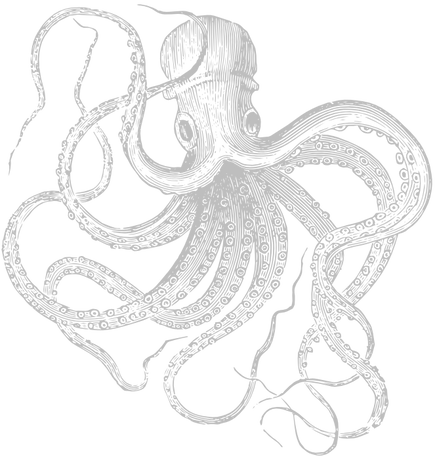 Octopus-.png